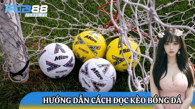 Hướng dẫn cách đọc kèo bóng đá FC88